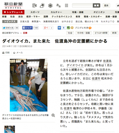 ダイオウイカ、また来た　佐渡島沖の定置網にかかる：朝日新聞デジタル
